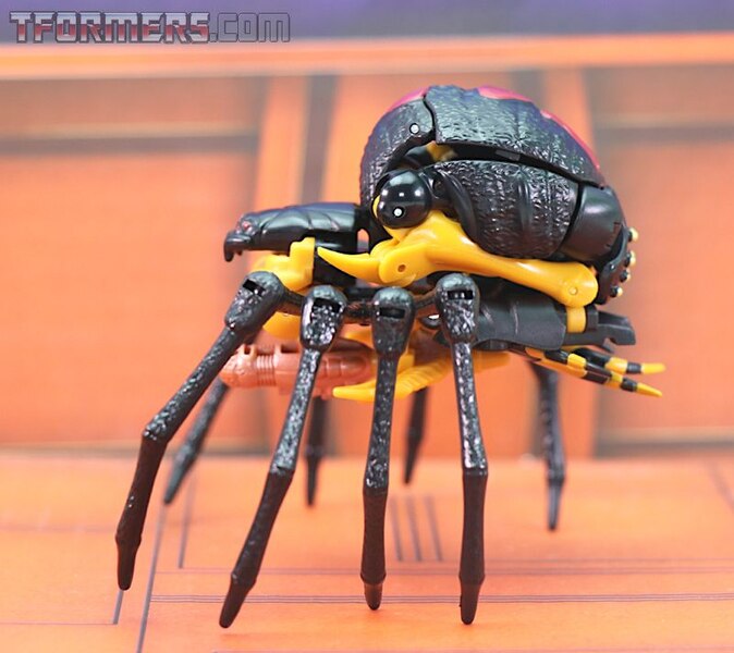 Transformers Kingdom Blackarachnia  (17 of 46)